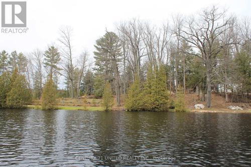 45 Fire Route 223, Trent Lakes, ON 