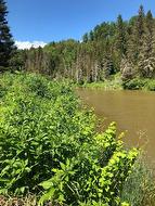 Access to a body of water - 