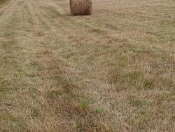 Acreage Cape Bear Road  White Sands, PE C0A 1W0