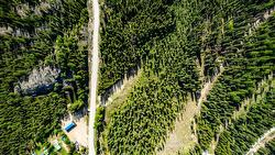 Lot #2 Paradise Road  Joe Rich, BC V1P 1K4