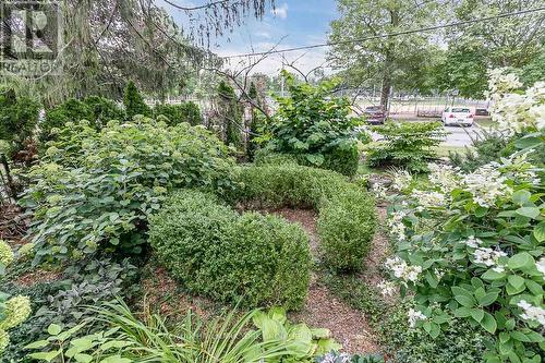 78 Wells Street, Aurora, ON - Outdoor