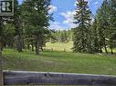 2455 Firwood Hill Road, Williams Lake, BC  - Outdoor With View 