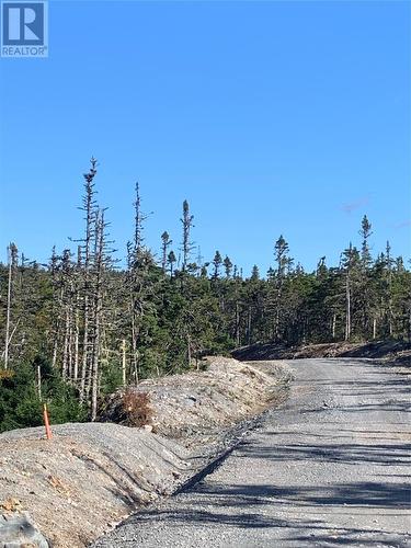 Lot 26 Halleran Trail, Brigus Junction, NL 