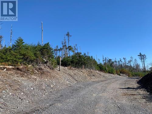 Lot 14 Halleran Trail, Brigus Junction, NL 