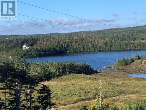 Lot 14 Halleran Trail, Brigus Junction, NL 