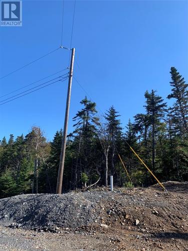 Lot 14 Halleran Trail, Brigus Junction, NL 