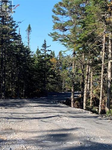 Lot 14 Halleran Trail, Brigus Junction, NL 