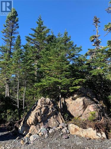 Lot 14 Halleran Trail, Brigus Junction, NL 