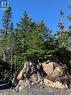 Lot 14 Halleran Trail, Brigus Junction, NL 