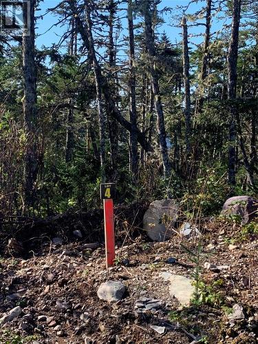 Lot 14 Halleran Trail, Brigus Junction, NL 