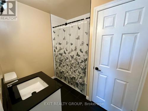 Unit 3 - 156 Moira Street E, Belleville (Belleville Ward), ON - Indoor Photo Showing Bathroom