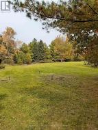 1614 COUNTY ROAD 504  North Kawartha, ON K0L 1A0