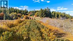 911 32nd Avenue S  Erickson, BC V0B 1G1