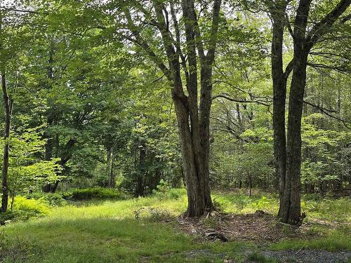 83 Samuel Oickle Road, West Clifford, NS - Outdoor