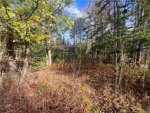 7 Annie Lane, Dumfries, NB 