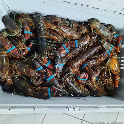 26 Bridge St, Sackville, NB 