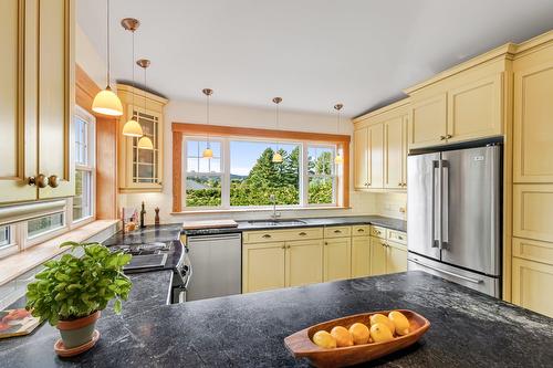 Cuisine - 41 Rue Mountain, Sutton, QC - Indoor Photo Showing Kitchen
