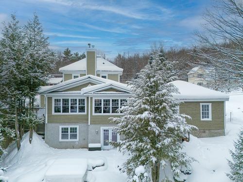 Back facade - 41 Rue Mountain, Sutton, QC - Outdoor