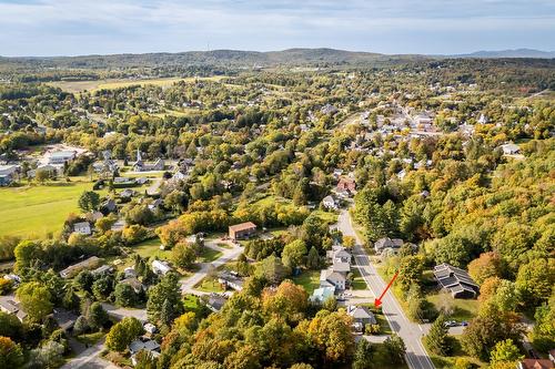 Overall view - 41 Rue Mountain, Sutton, QC - Outdoor With View