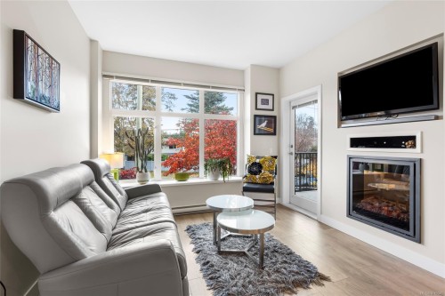 206-4040 Borden St, Saanich, BC - Indoor Photo Showing Living Room With Fireplace