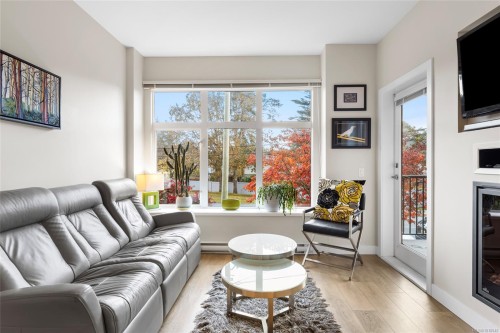 206-4040 Borden St, Saanich, BC - Indoor Photo Showing Living Room With Fireplace