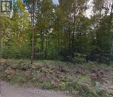 HEAD CON A PT LOT 10  Head, Clara And Maria, ON K0J 2B0