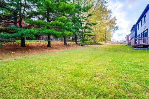 99 Bethpage Crescent, Newmarket, ON - Outdoor