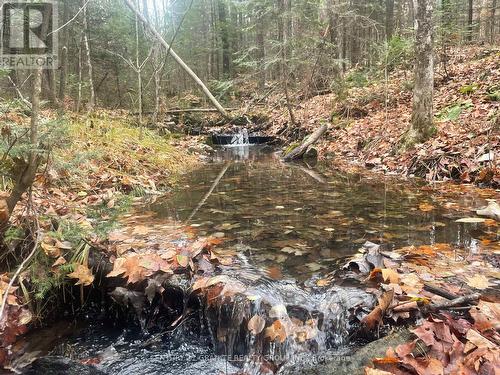 0 Snow Road, Bancroft (Bancroft Ward), ON 