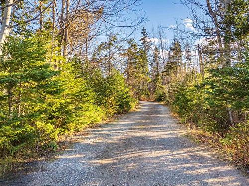 1999 Canavoy Road, St Andrew'S, PE 