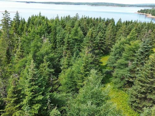 247 Highway, St. Peter'S, NS 