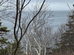 0 16 Highway Peas Brook, NS B0H 1N0