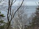 0 16 Highway, Peas Brook, NS 