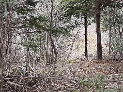 0 16 Highway, Peas Brook, NS 
