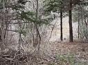 0 16 Highway, Peas Brook, NS 