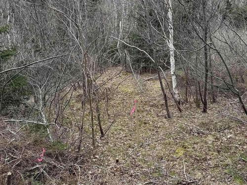 0 16 Highway, Peas Brook, NS 