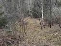 0 16 Highway, Peas Brook, NS 