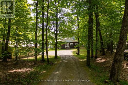 Driveway in, on gently sloped lot. - 562 And 568 East Waseosa Lake Road, Huntsville (Chaffey), ON - Outdoor