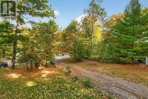 1950 Champlain Road, Tiny, ON - Outdoor
