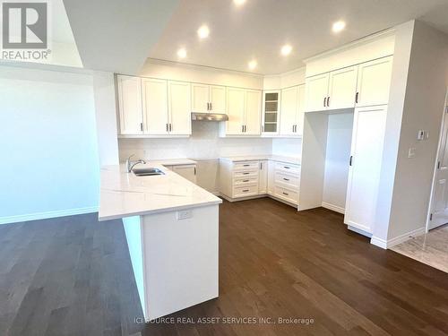 264 Tanglewood Drive, Hamilton, ON - Indoor Photo Showing Kitchen With Double Sink