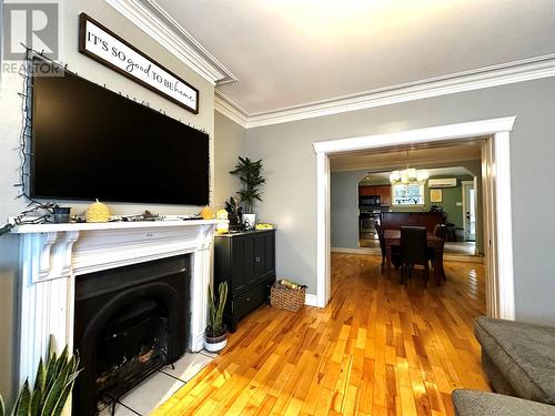 57 Prescott Street, St. John'S, NL - Indoor With Fireplace