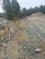 95-97 Deans Road  Witless Bay, NL A0A 4K0