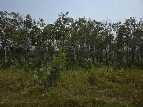 151 Tilstone Road, Ste Anne Rm, MB 