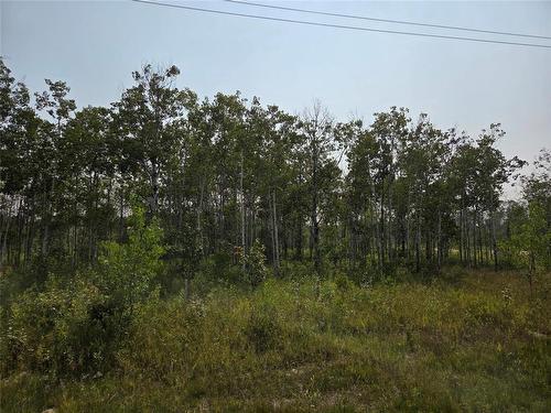 151 Tilstone Road, Ste Anne Rm, MB 