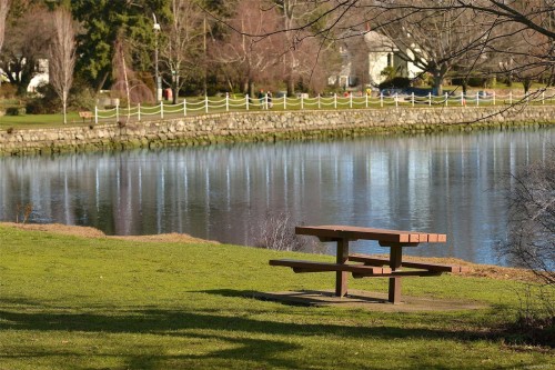 746 Gorge Rd West, Saanich, BC 