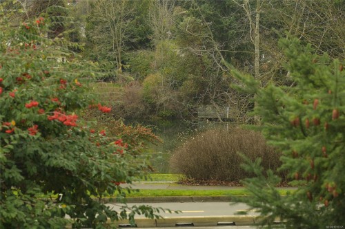 746 Gorge Rd West, Saanich, BC 