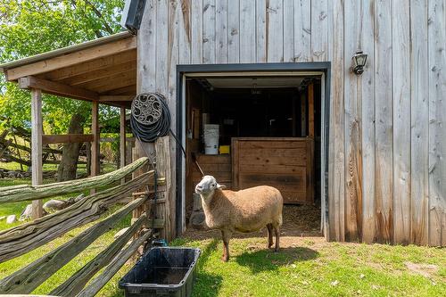 Autre - 771 Rue Richelieu, Saint-Marc-Sur-Richelieu, QC - Outdoor With Exterior