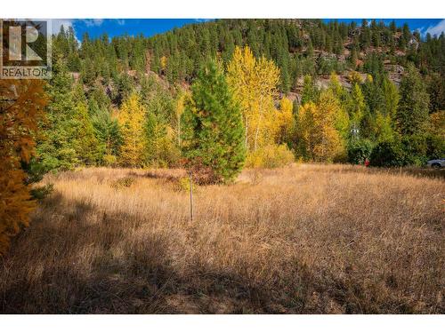 Lot 4 Sandner Frontage Road, Christina Lake, BC 
