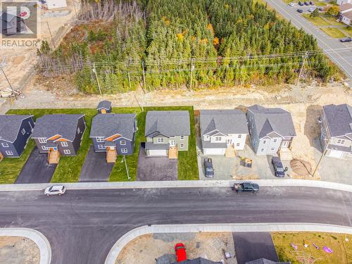 88 Lasalle Drive, Mount Pearl, NL - Outdoor With View