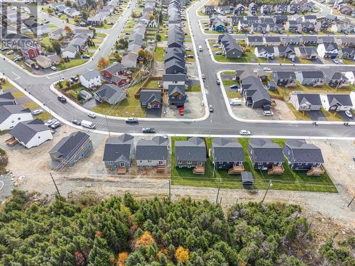 88 Lasalle Drive, Mount Pearl, NL - Outdoor With View