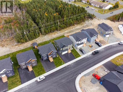 88 Lasalle Drive, Mount Pearl, NL - Outdoor With View